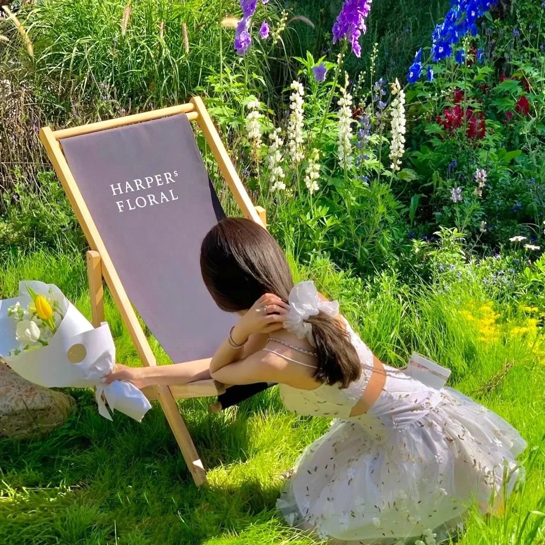 天堂岛疑云第十四季